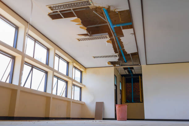 Water damage restoration mold remediation in Harvey, LA