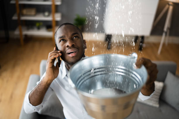  Harvey, LA Water damage restoration Pros