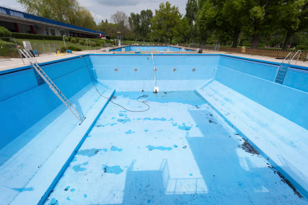 Best Carpet water damage restoration  in Harvey, LA