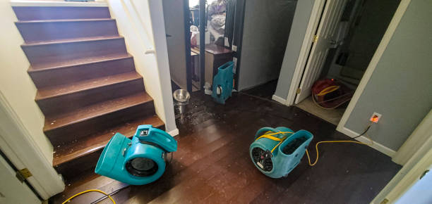 Best Water damage restoration specialists  in Harvey, LA
