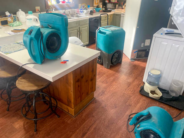 Best Flood damage cleanup  in Harvey, LA