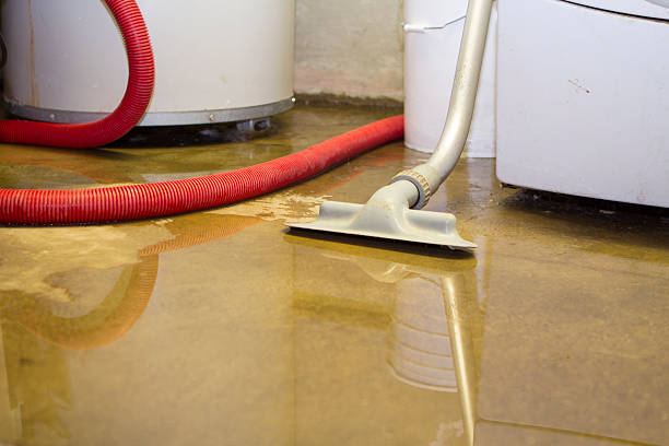 Best Mold removal after water damage  in Harvey, LA