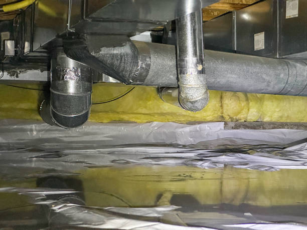 Best Water damage contractors near me  in Harvey, LA