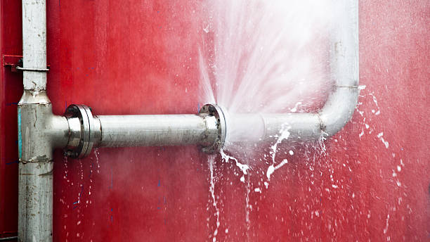 Best Water damage cleanup near me  in Harvey, LA