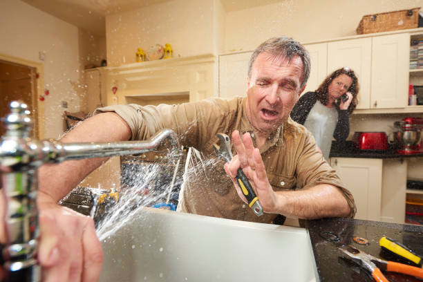 Best Fire Damage Restoration  in Harvey, LA